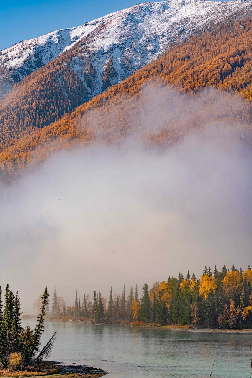 哇,喀纳斯神仙湾真是个令人向往的地方!