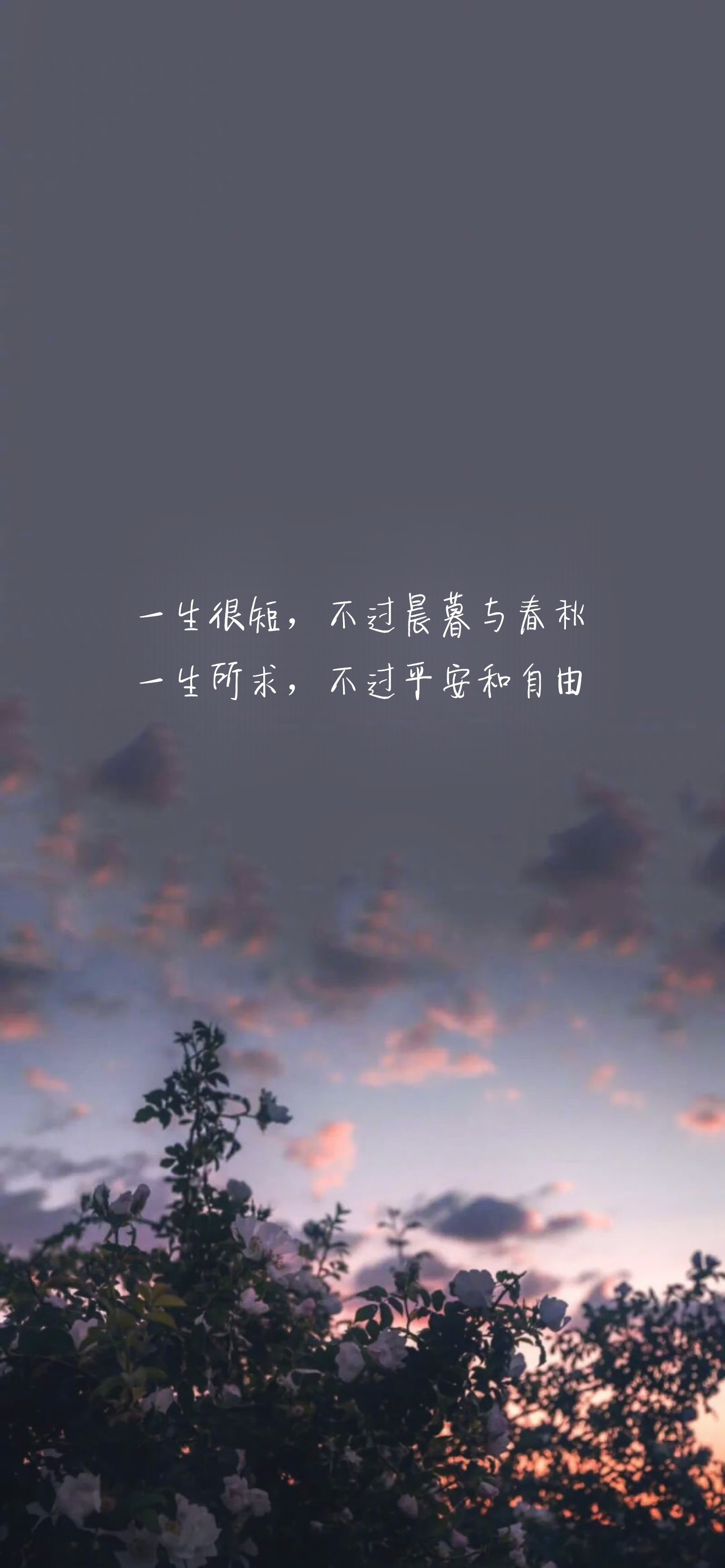 一生很短,不过晨暮与春秋 一生所求,不过平安与自由