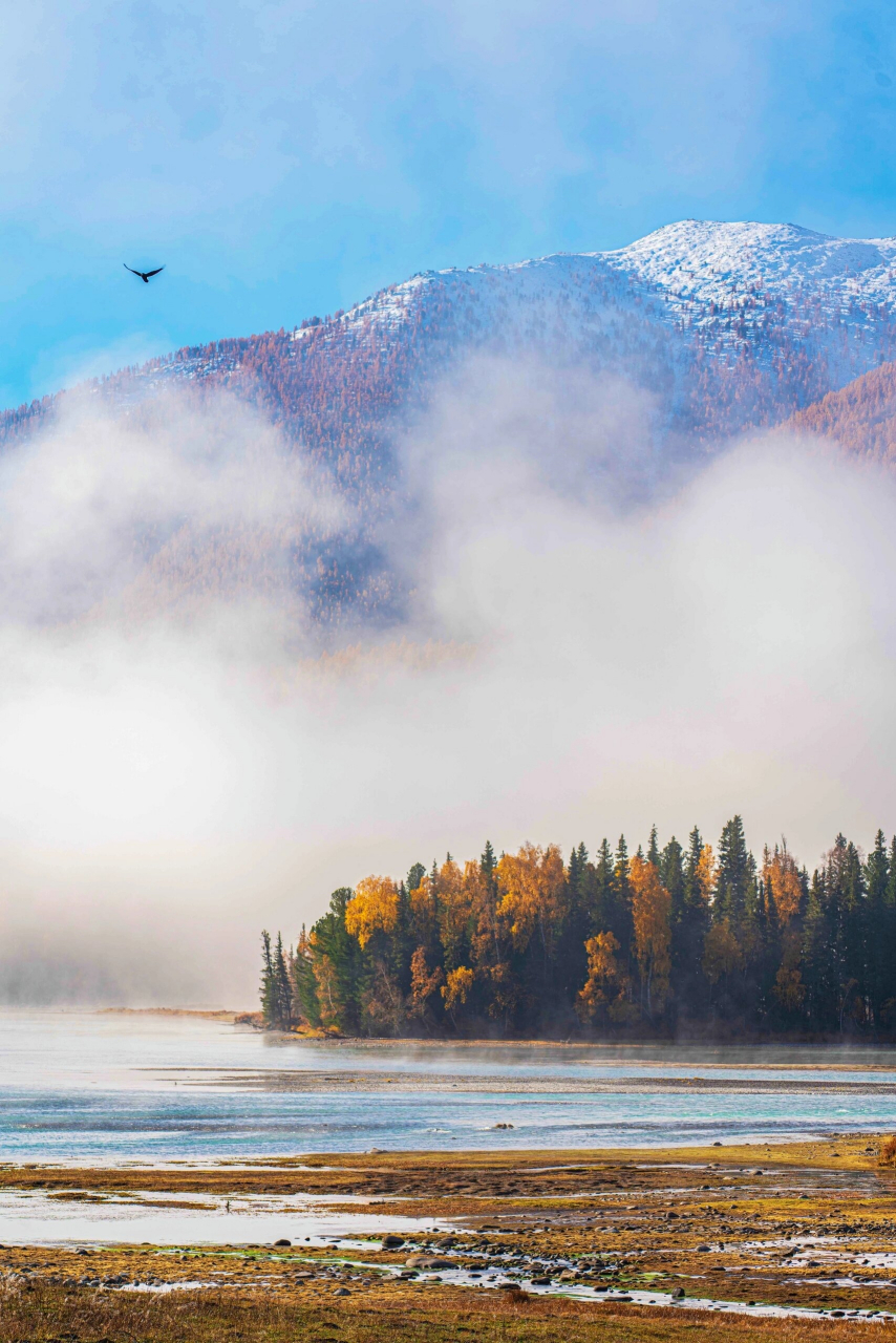 哇,喀纳斯神仙湾真是个令人向往的地方!