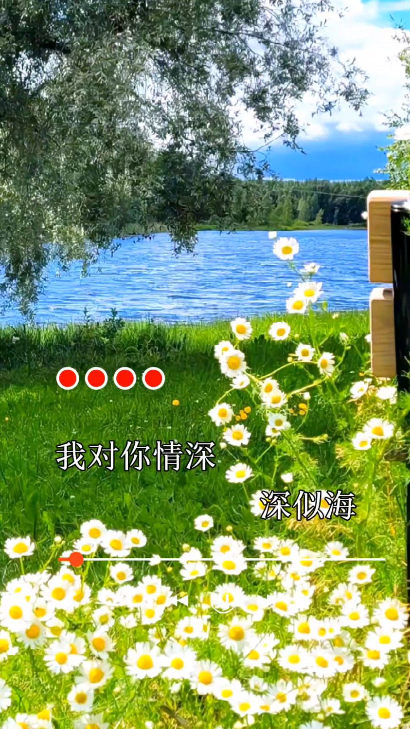 经典老歌太好听了《情深似海》太火了唱出了真情流露年代记忆