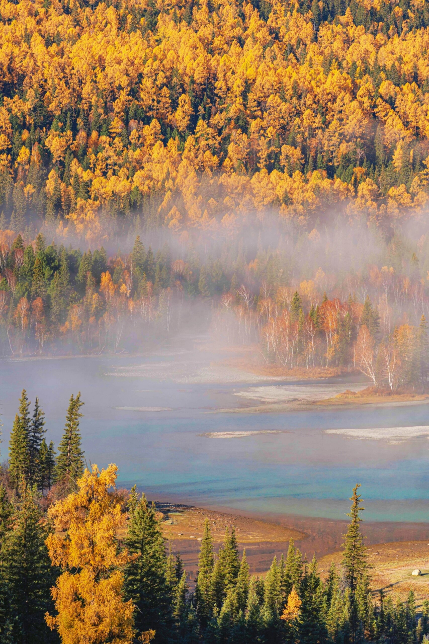 哇,喀纳斯神仙湾真是个令人向往的地方!
