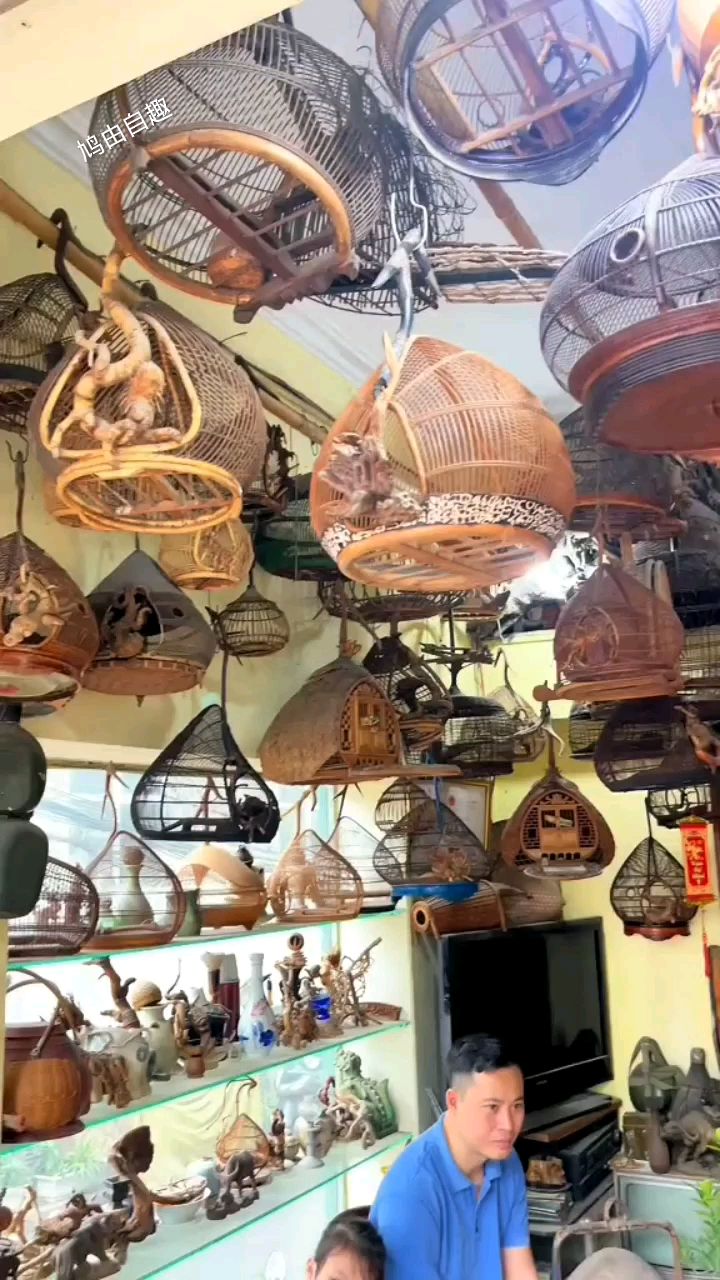 越南斑鸠笼越南鸟笼