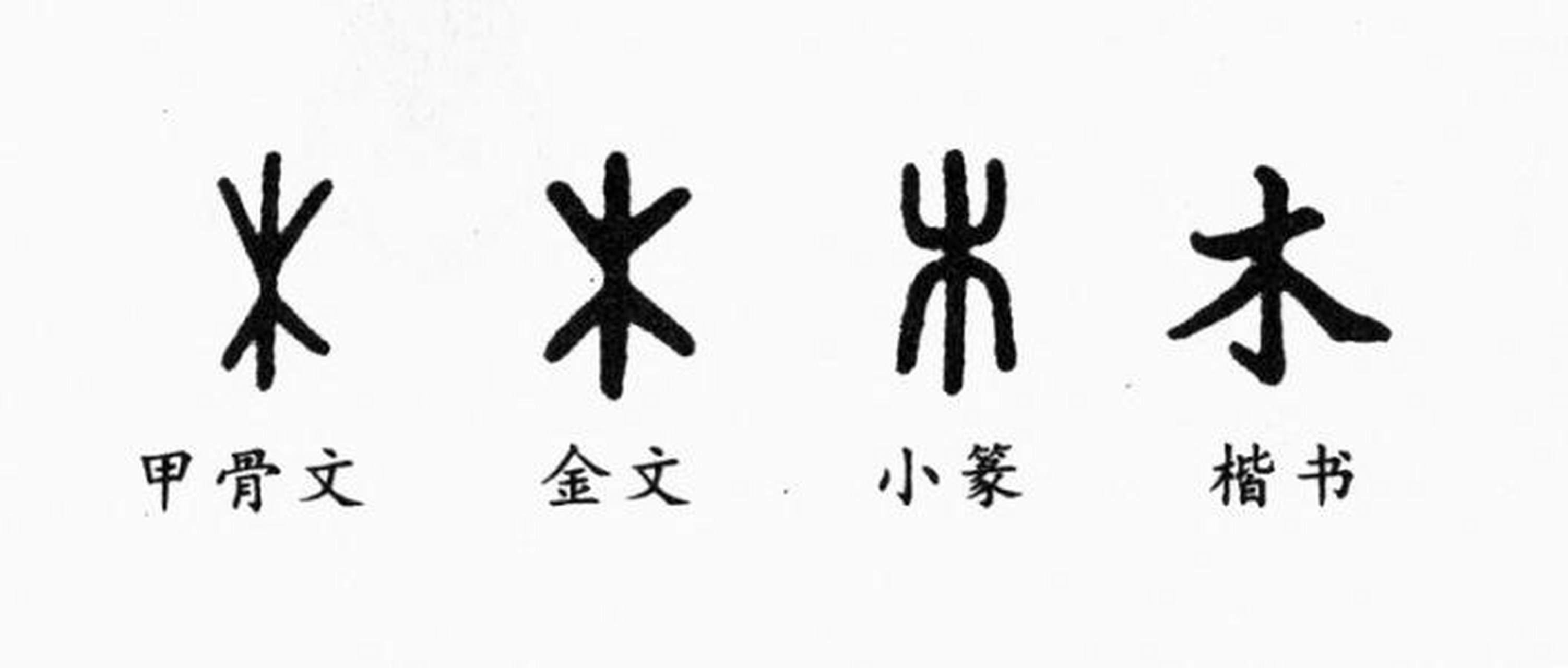 甲骨文木字图片图片