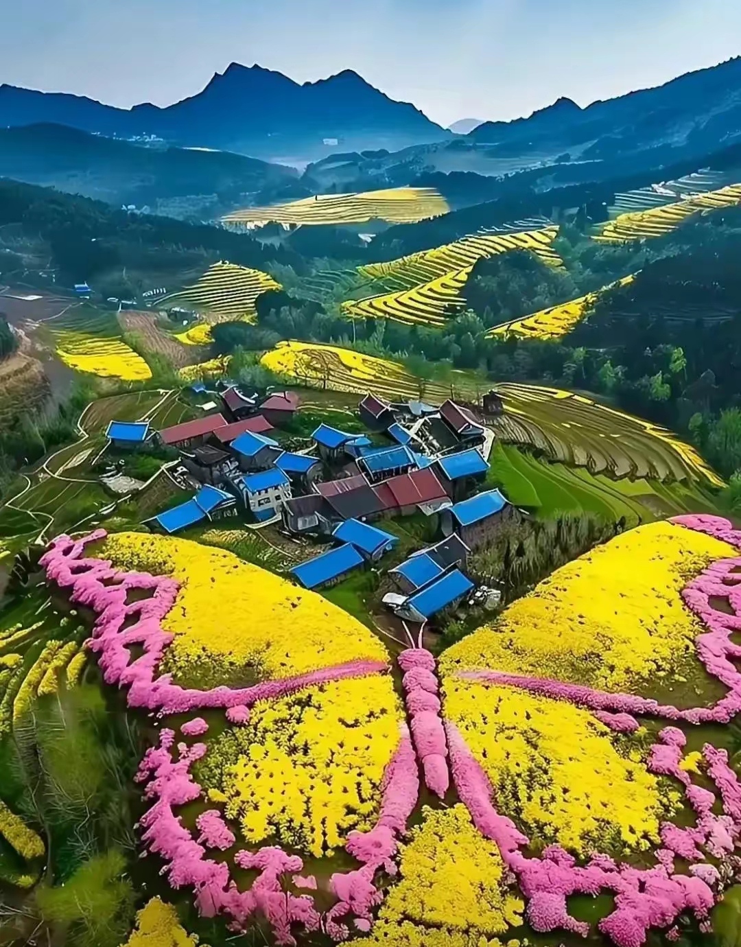 春荫荫,春浓浓,满园春花开放… 门庭春柳碧翠,阶前春草芬芳.
