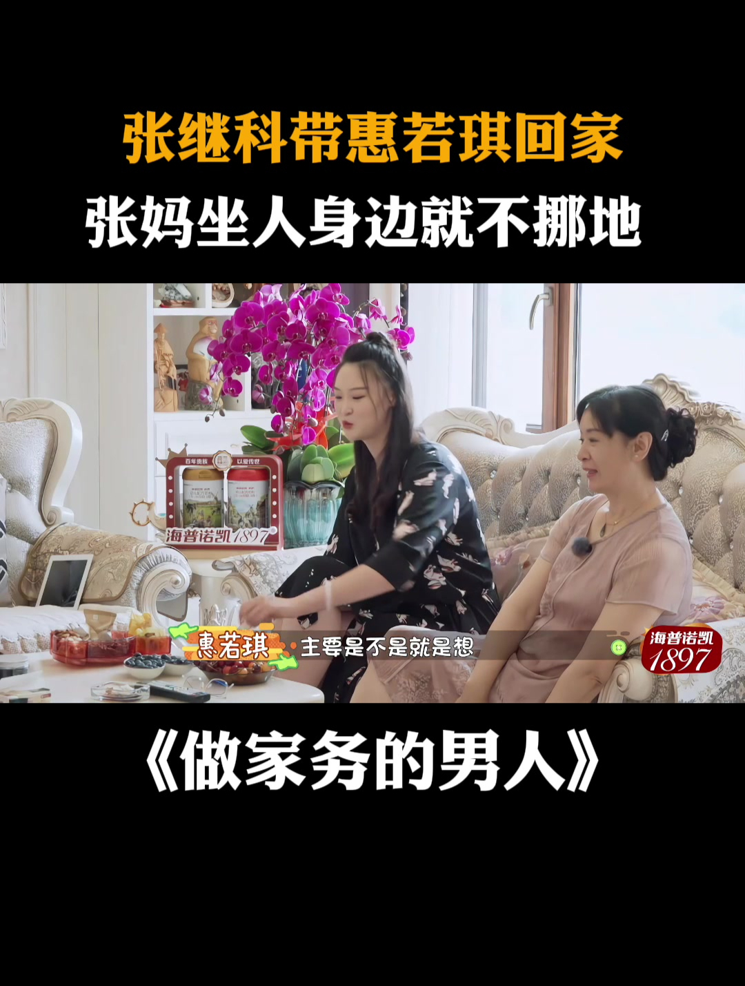 张继科前女友们图片