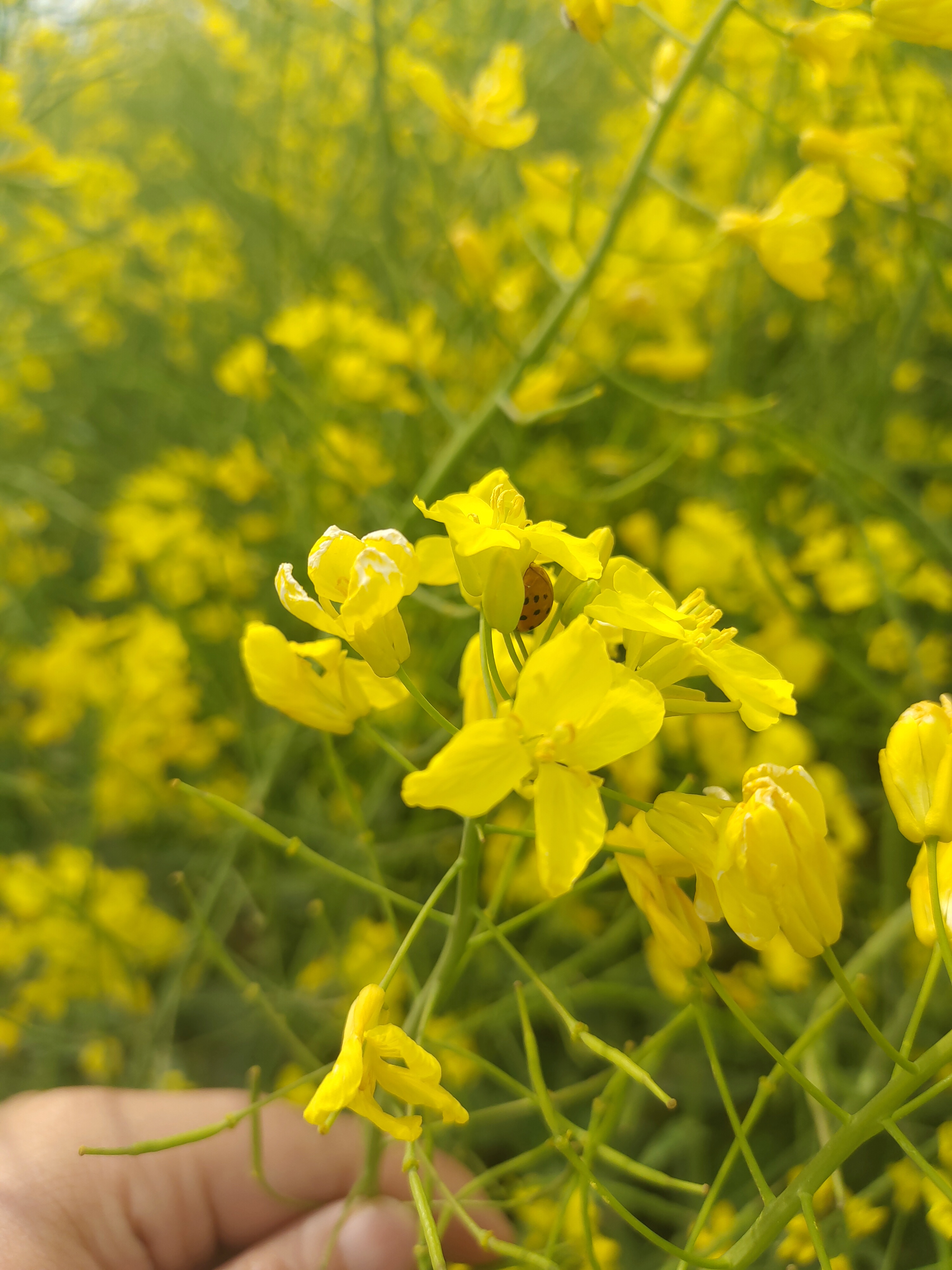 在这个充满生机的季节里