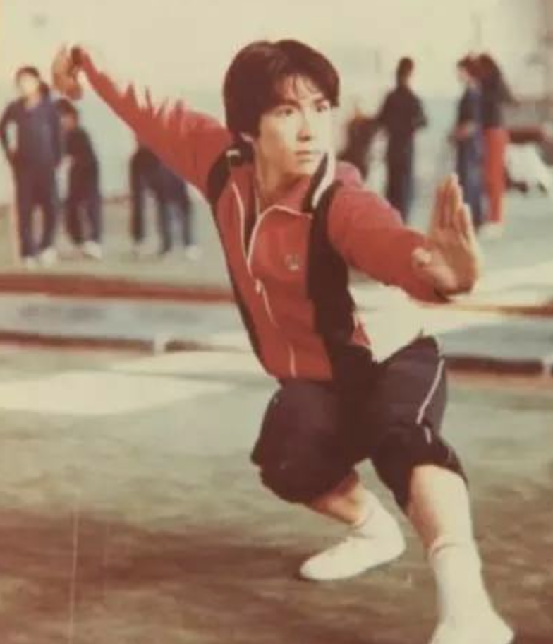 回顾甄子丹给前妻抚养费追求万绮雯为何转身娶了汪诗诗