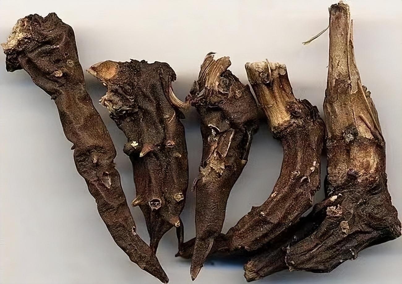 2017年药铺晒草乌被偷,小偷泡酒饮用后身亡,药店店主赔4万