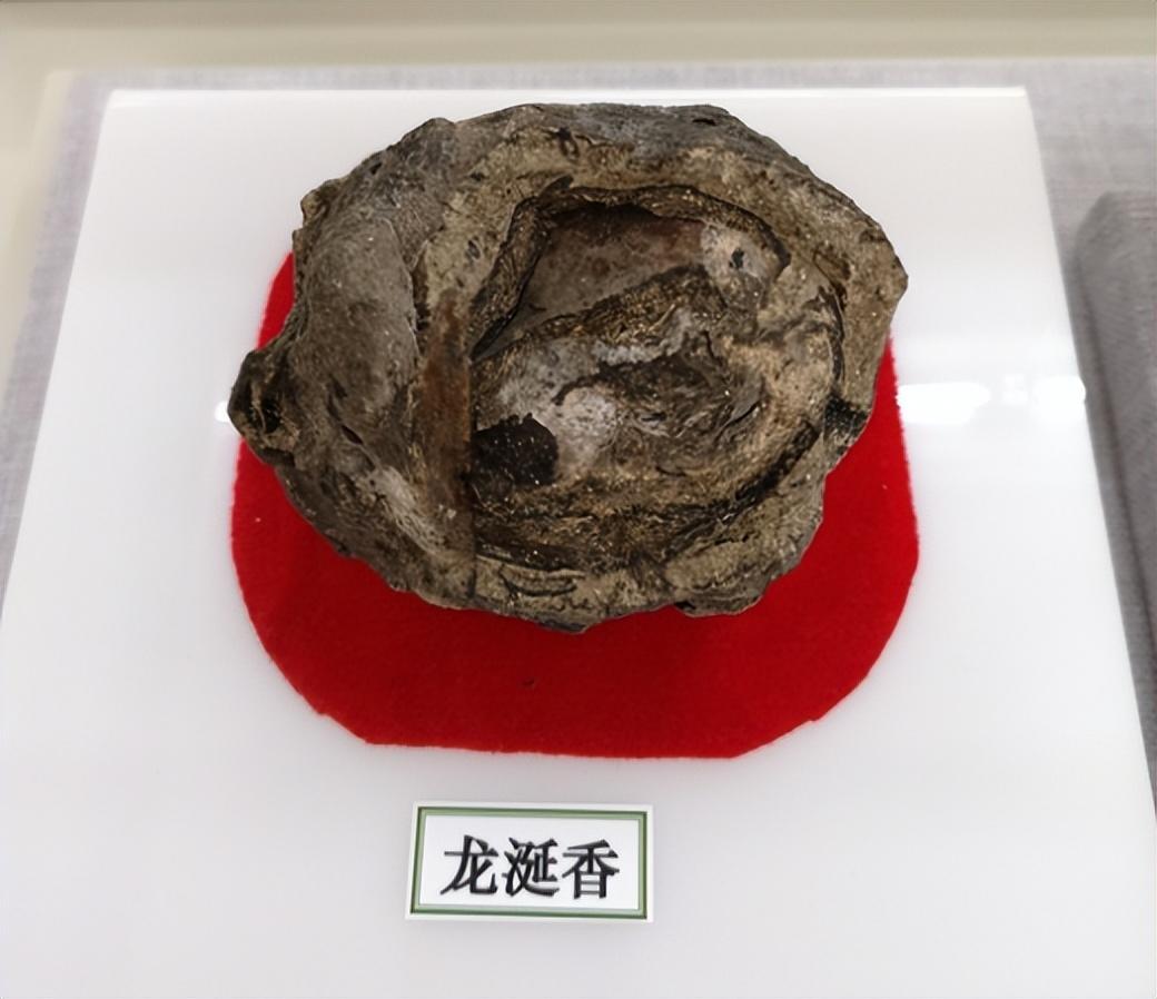 2014年男子海滩捡一块石头妻子真臭扔了它结果价值近百万