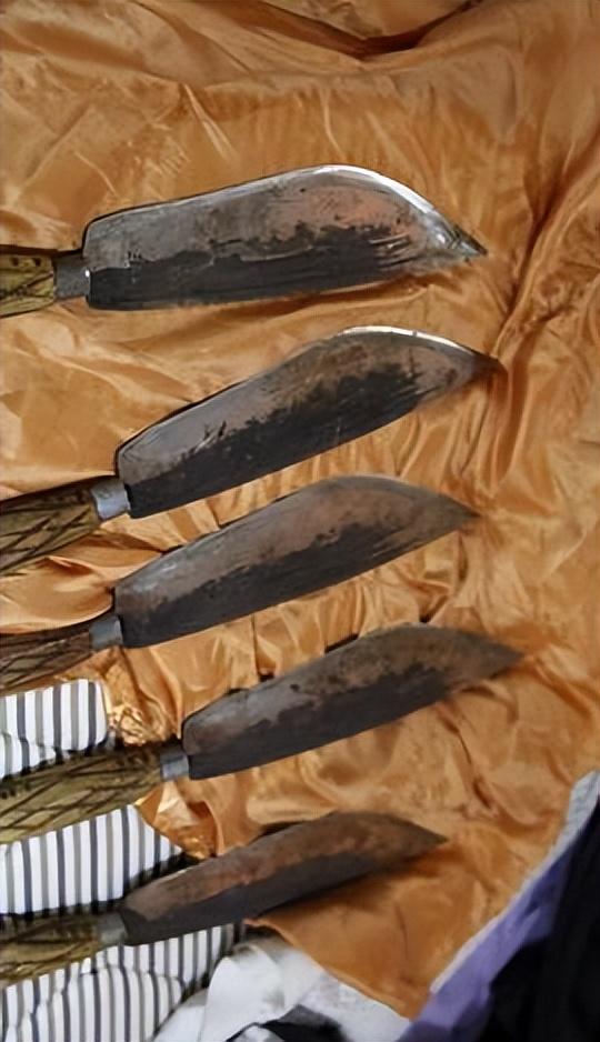 回顾现在的猪肉吃着不香了口味变了还是猪变了听养殖户怎么说