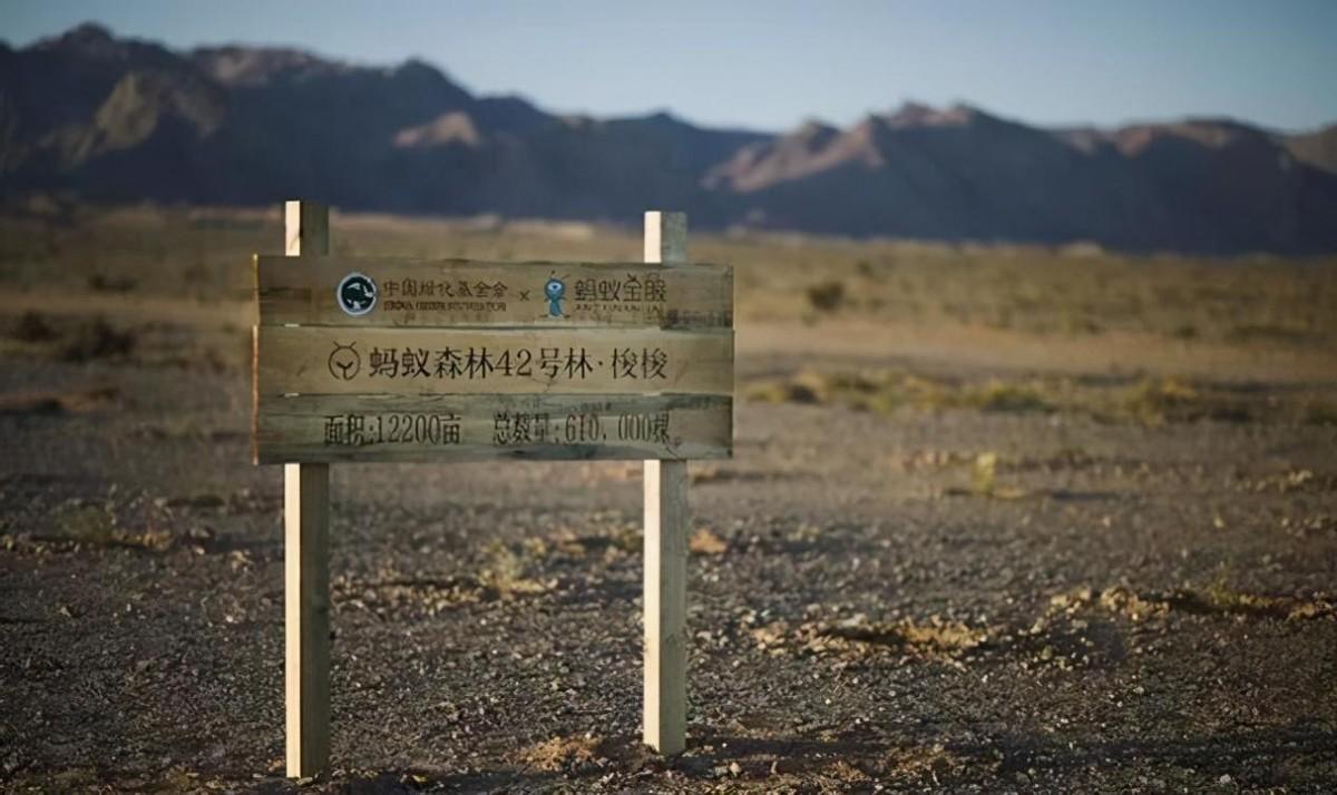 蚂蚁森林种树是真是假