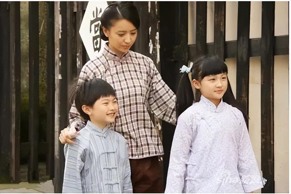 回顾4岁出道6岁上春晚15岁却因长相遭网暴