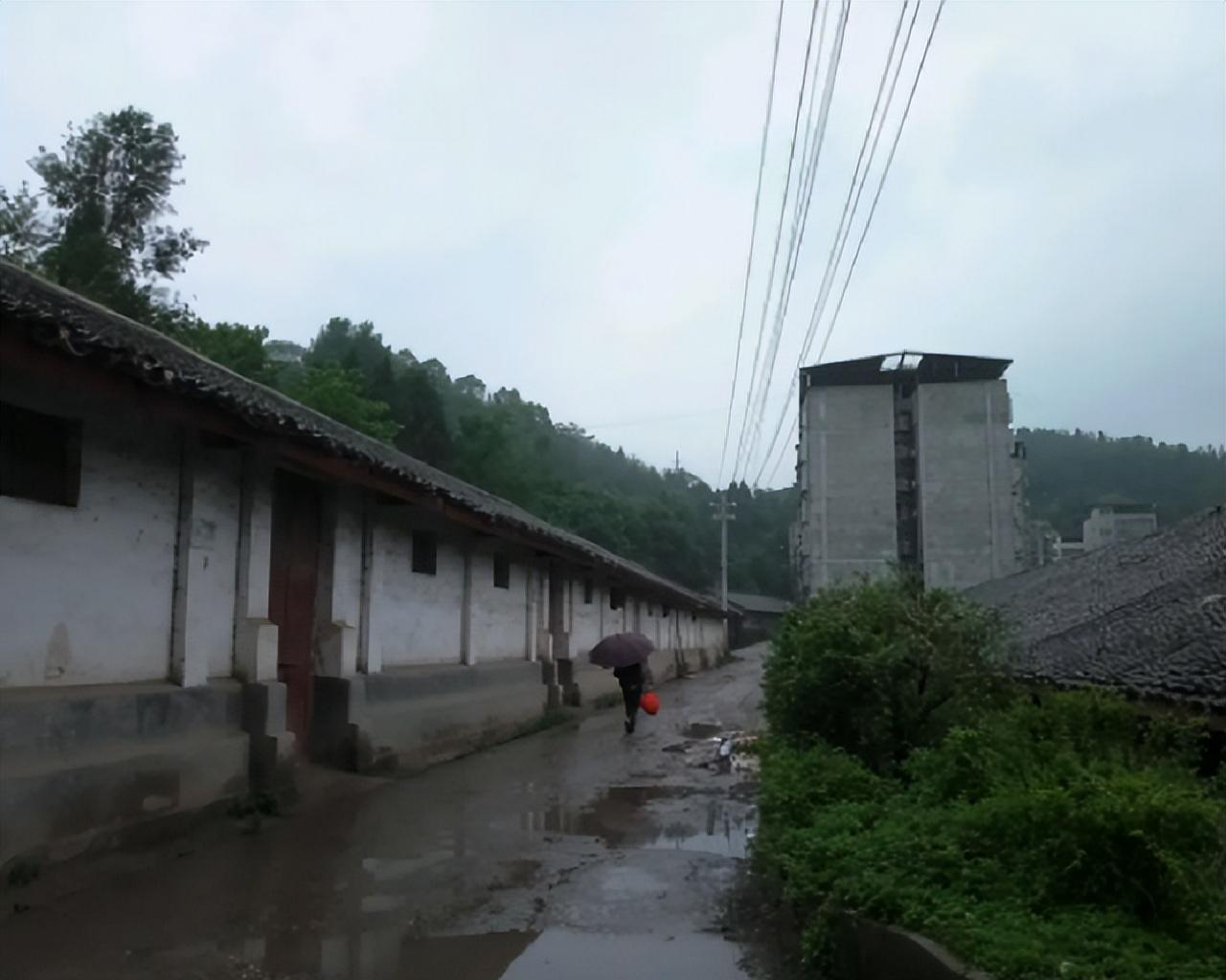 原本是双胞胎一起被送到曾家的,但因为实在负担不起两个孩子的抚养