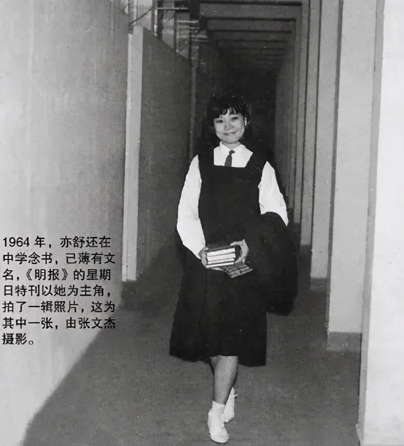 17岁的少女亦舒,爱上了才华横溢的穷画家蔡浩泉.