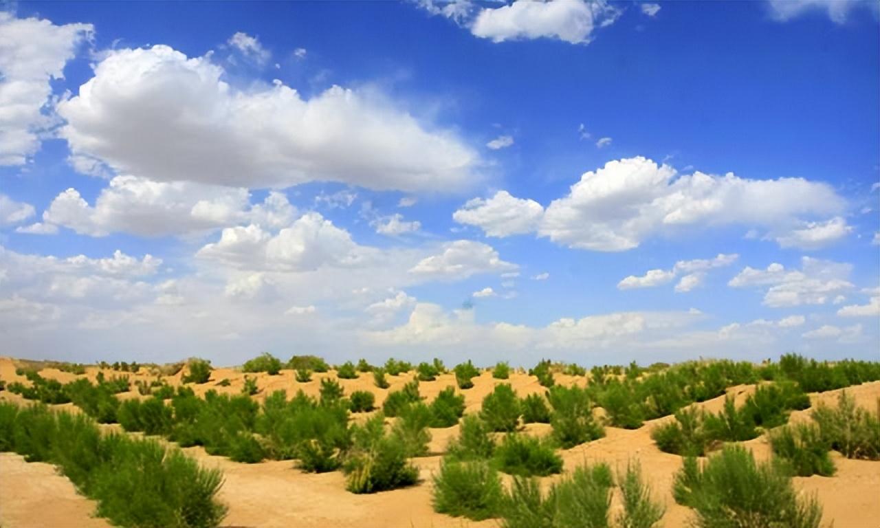 七年之痒:树苗长成大树了吗?