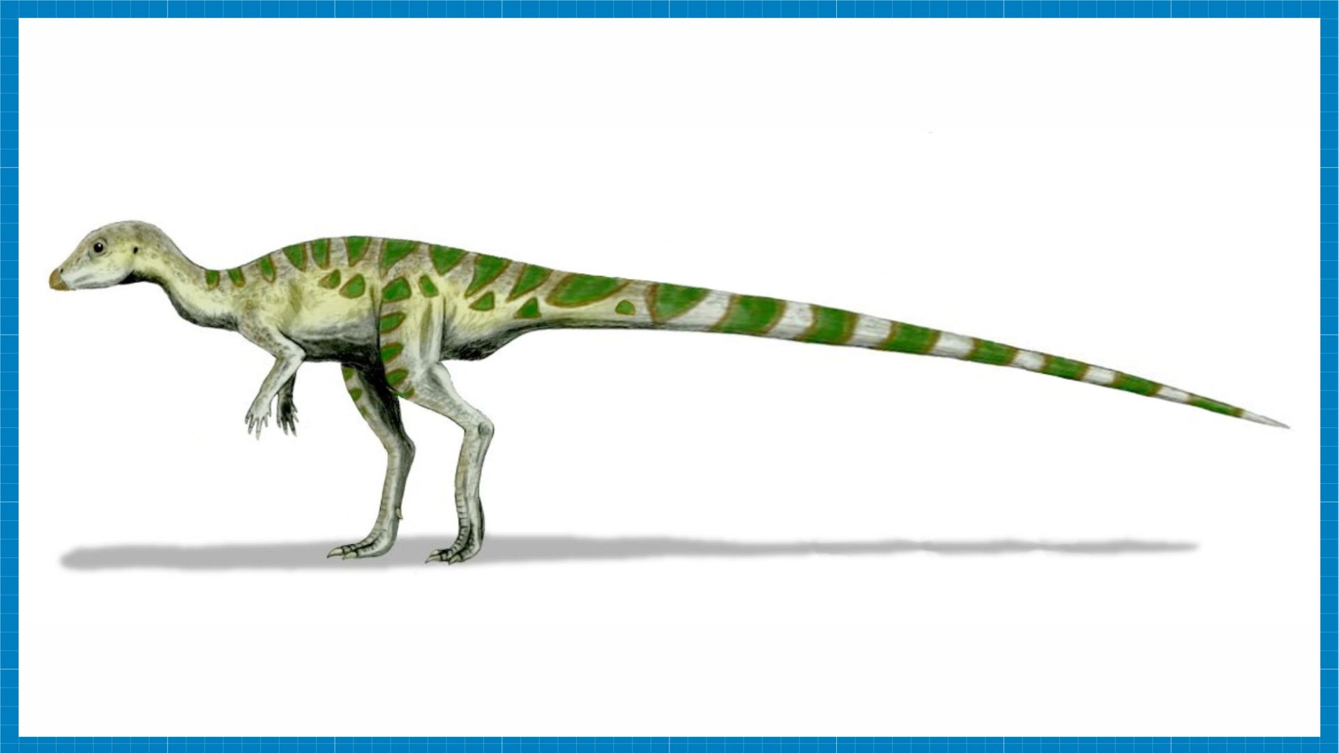 关于冈瓦纳超大陆你可能不知道的8个事实