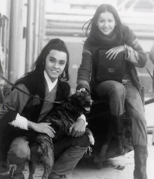 回顾秦沛姜大卫尔冬升三兄弟叱咤影视圈几十年母亲是叶赫那拉氏