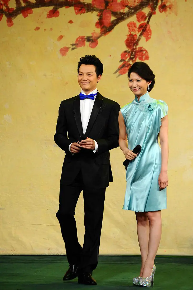 回顾央视主播任鲁豫是才子也是孝子迎娶美娇妻爱情事业双丰收