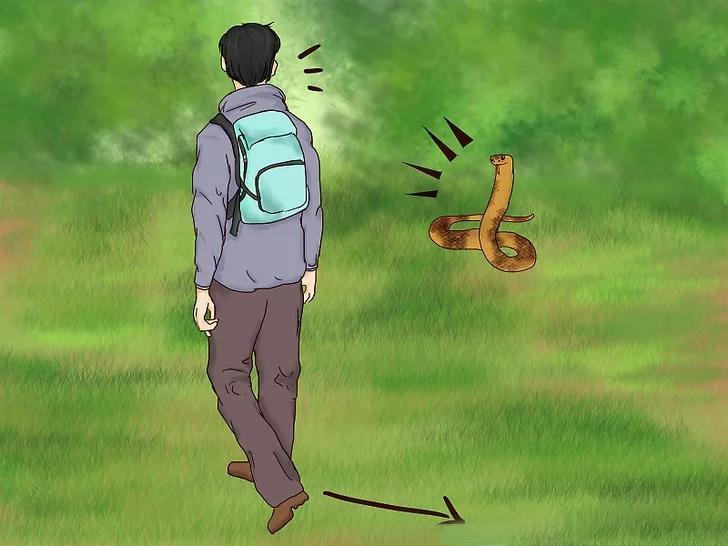 纪实如果被蟒蛇吞了身上有把匕首有没有可能切开蛇腹爬出来