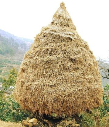 回顾农村曾经随处可见的柴火垛如今为何消失不见它有什么弊端