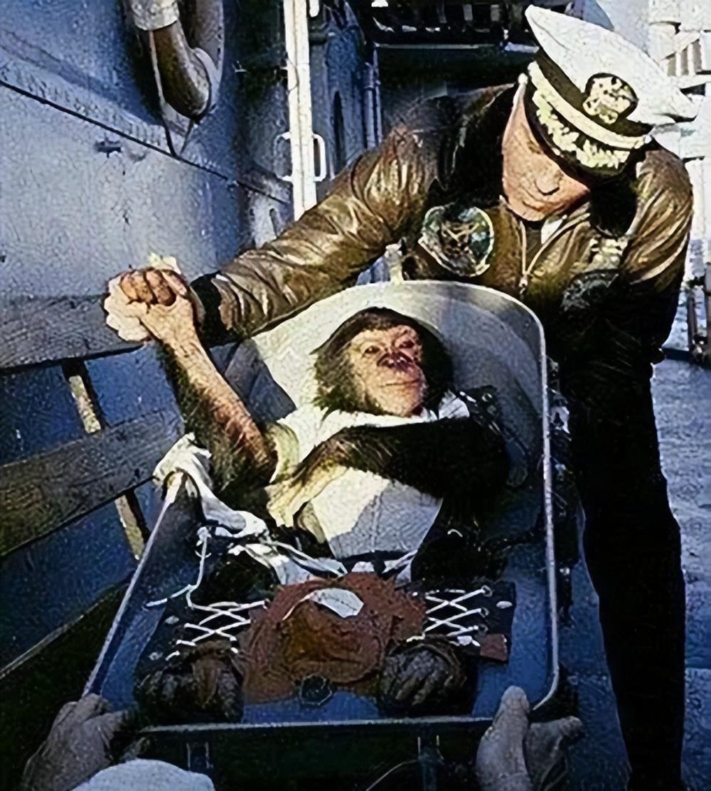 这项实验就在非洲一个非常隐秘的地方开始了,但是由于这项领域从来没