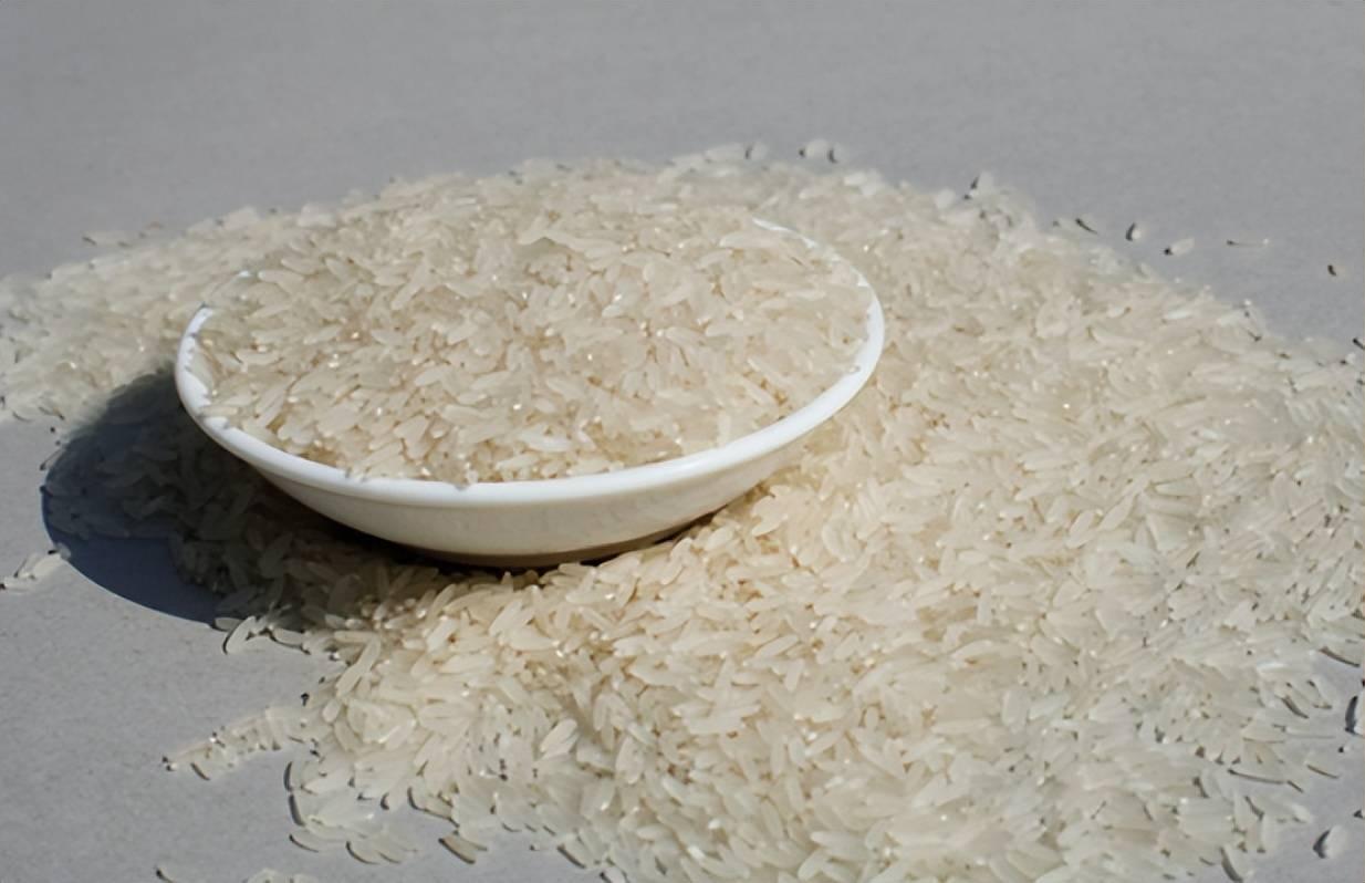 回顾:竹子和水稻竟能杂交,结出的品种竹稻米能不能吃?怎么做到的?