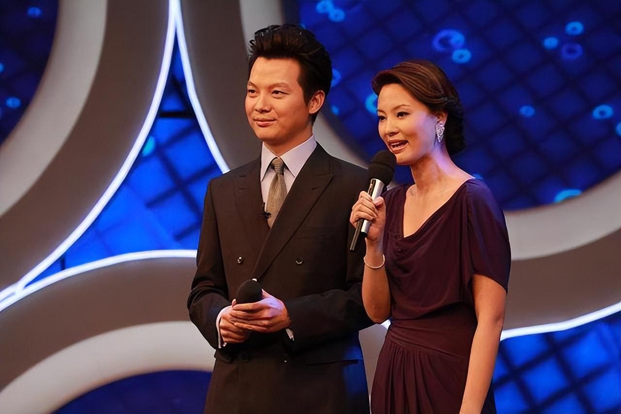 回顾央视主播任鲁豫是才子也是孝子迎娶美娇妻爱情事业双丰收