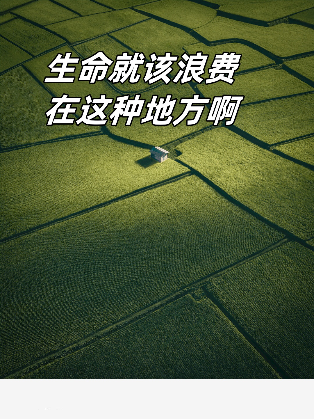 生命就该浪费在这种地方啊