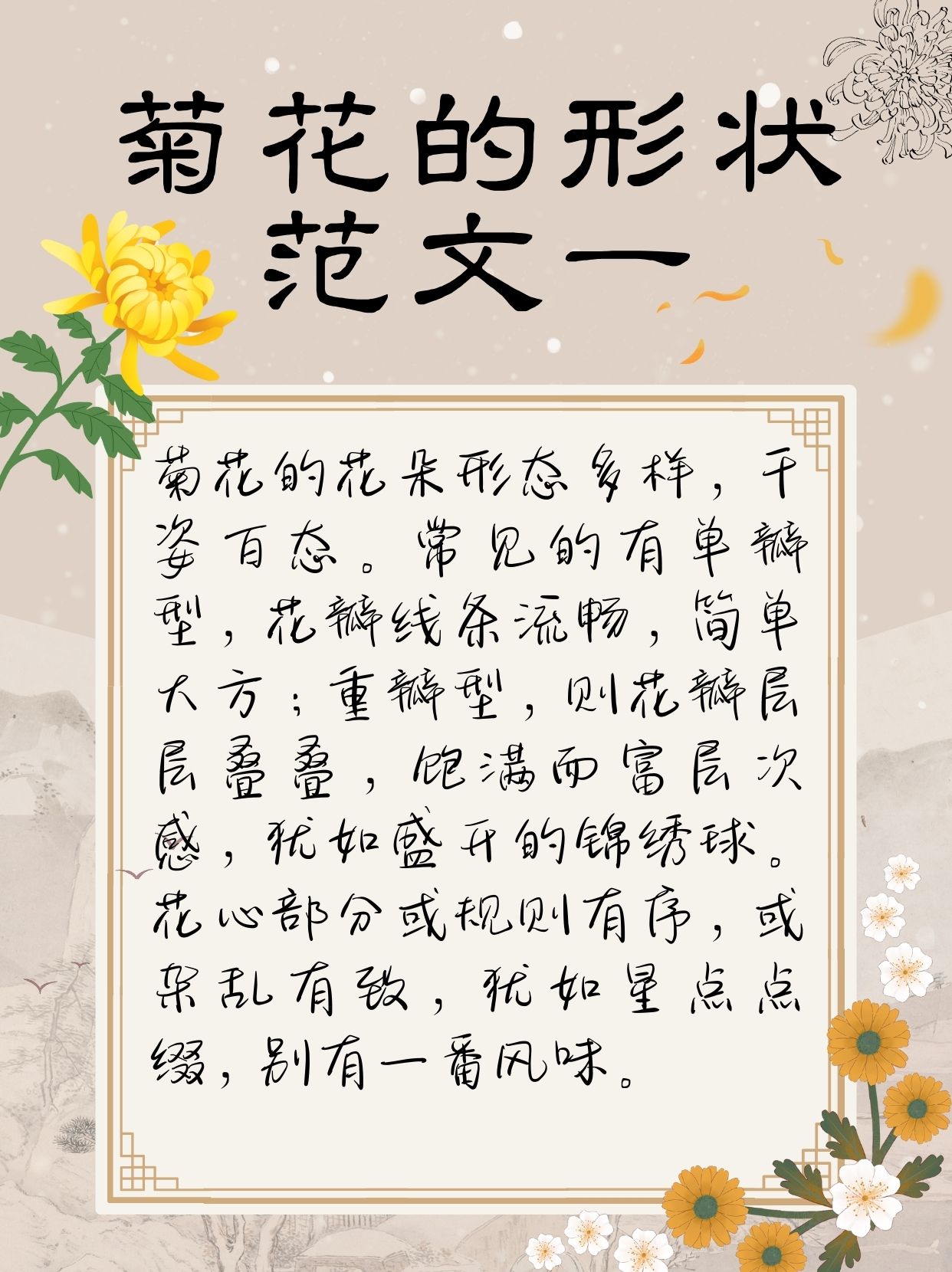 菊花的形状,颜色,气味方面的描写