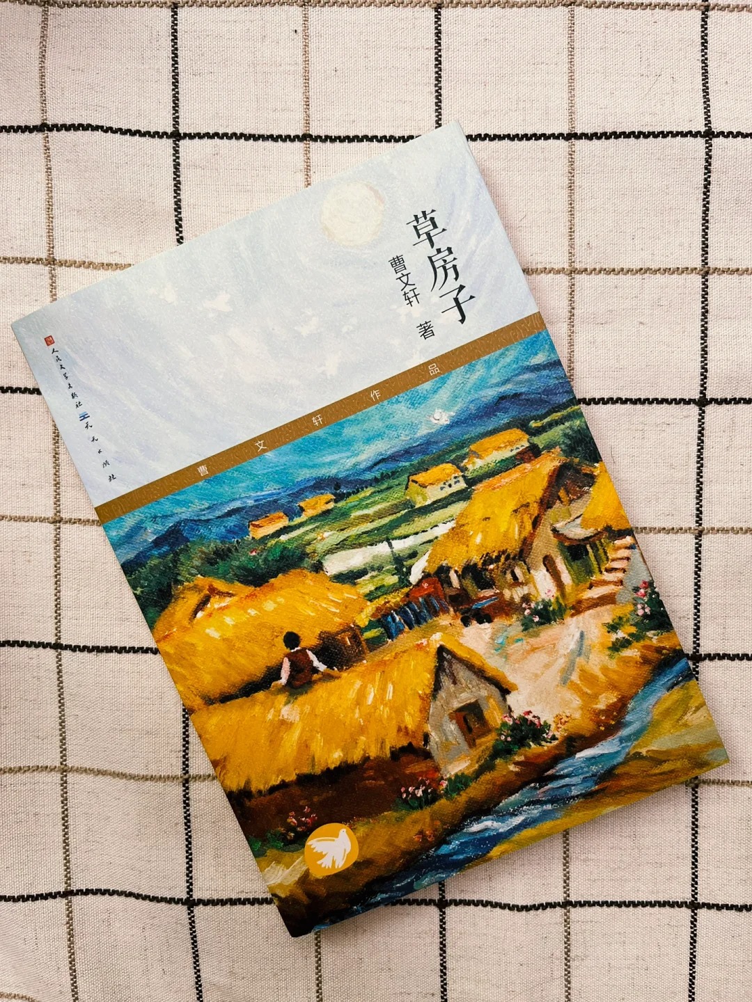 "终生难忘的生活--《草房子》" 在书中,我特别被杜小康的故事所吸引.