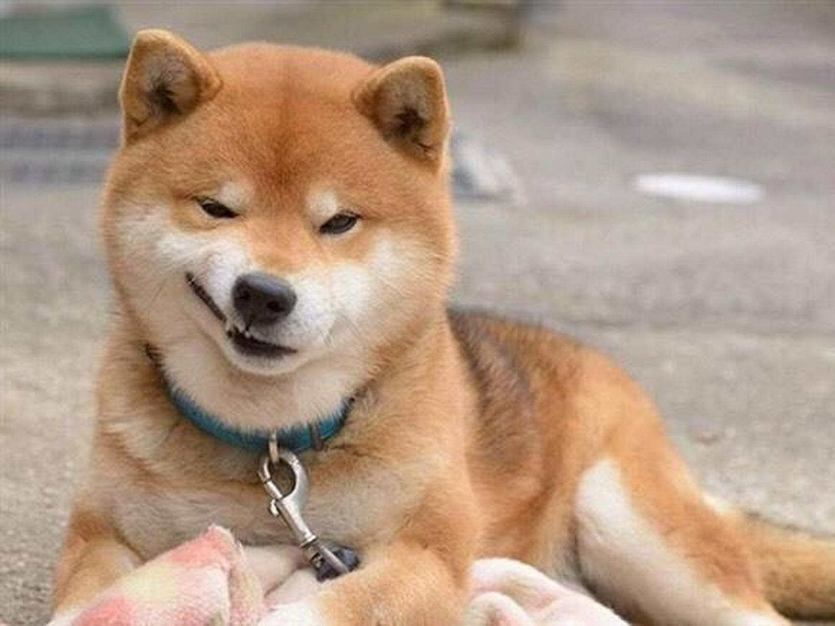 这个笑容也太拟人化了,轻蔑而又漫不经心的邪魅一笑.#热点引擎计划