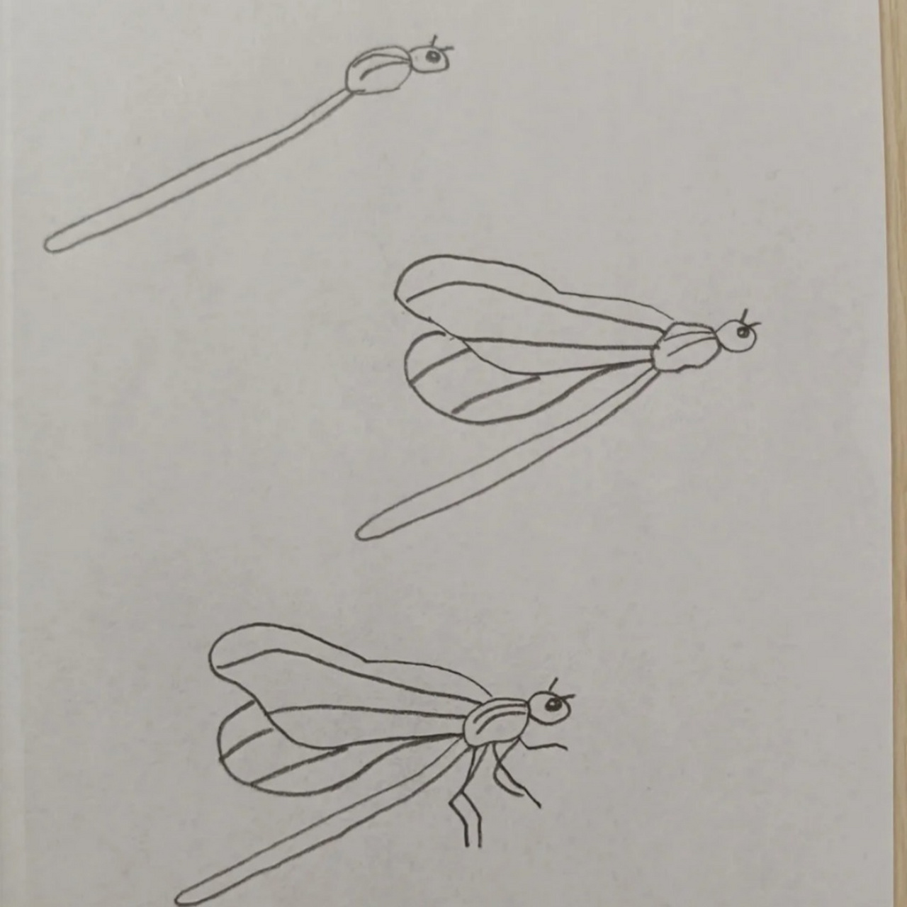 蜻蜓简笔画  简笔画|蜻蜓97 小荷才露尖尖角,早有蜻蜓立上头~ 大家