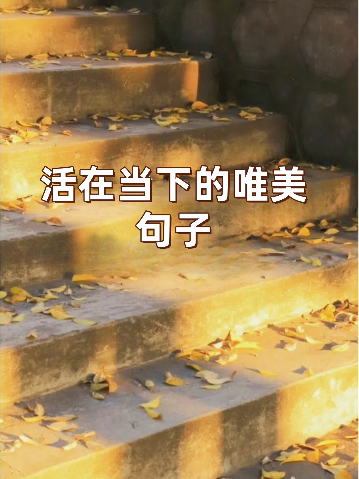 活在当下的唯美句子  珍惜当下,才能拥抱美好未来.