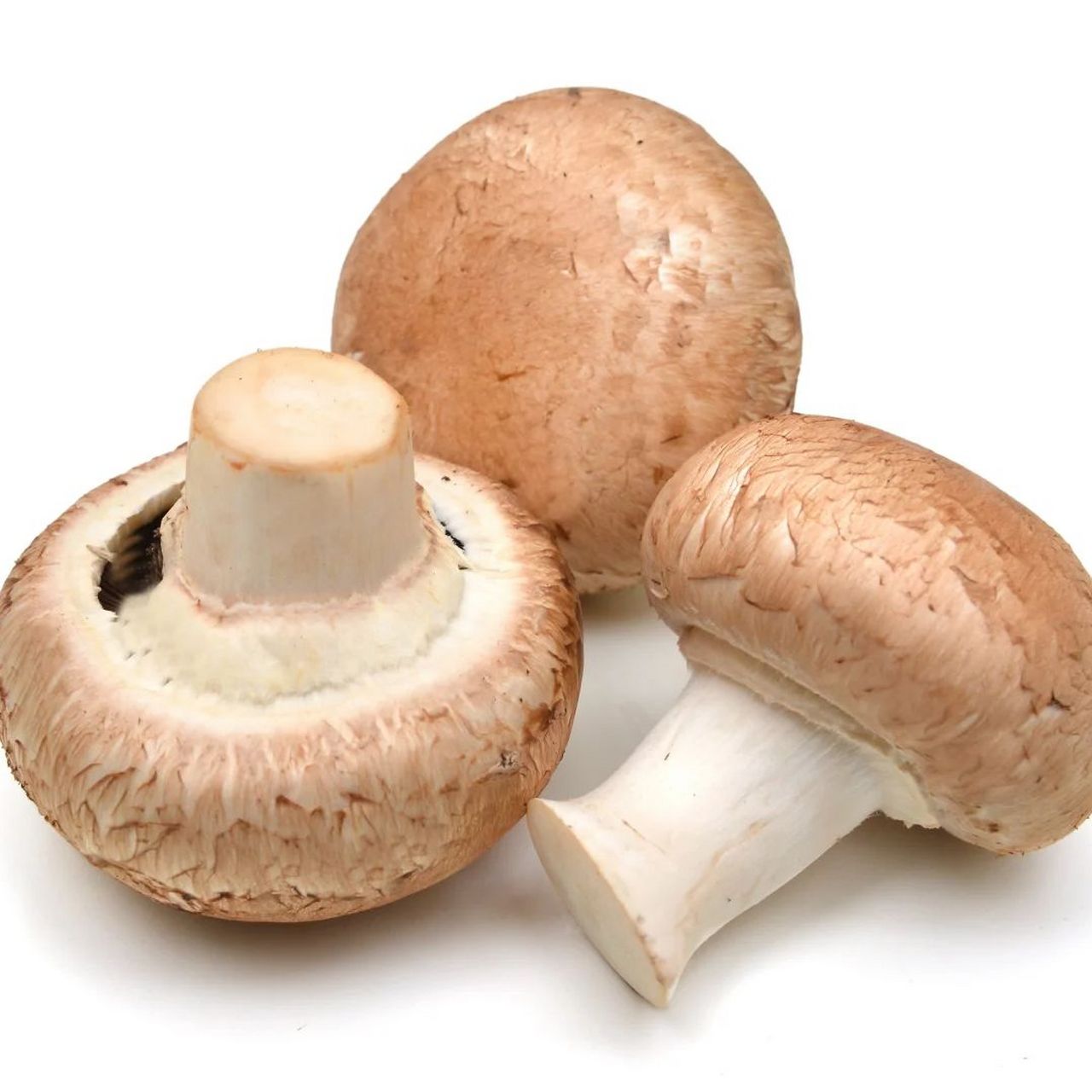 冬菇图片  冬菇的形态特征为扁半球形,盖面湿时甚粘,淡黄褐色或黄褐色