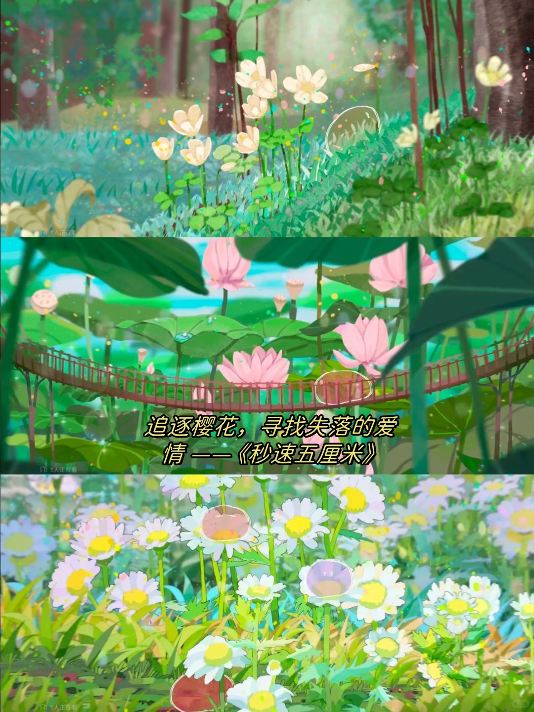 追逐樱花,寻找失落的爱情 —— 《秒速五厘米》  这部动漫,让我明白了