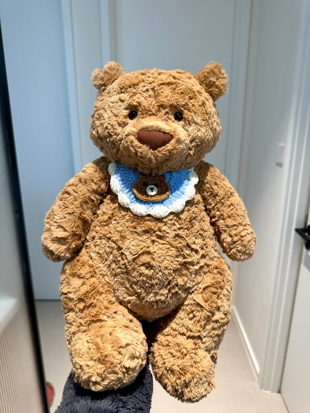 豪宅但真的很好宅 差不多要放假宅家了 前两天去商场,把小熊带回了家