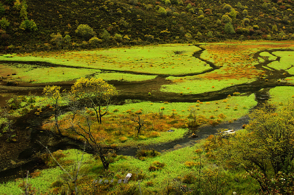 七藏沟,迷彩山林