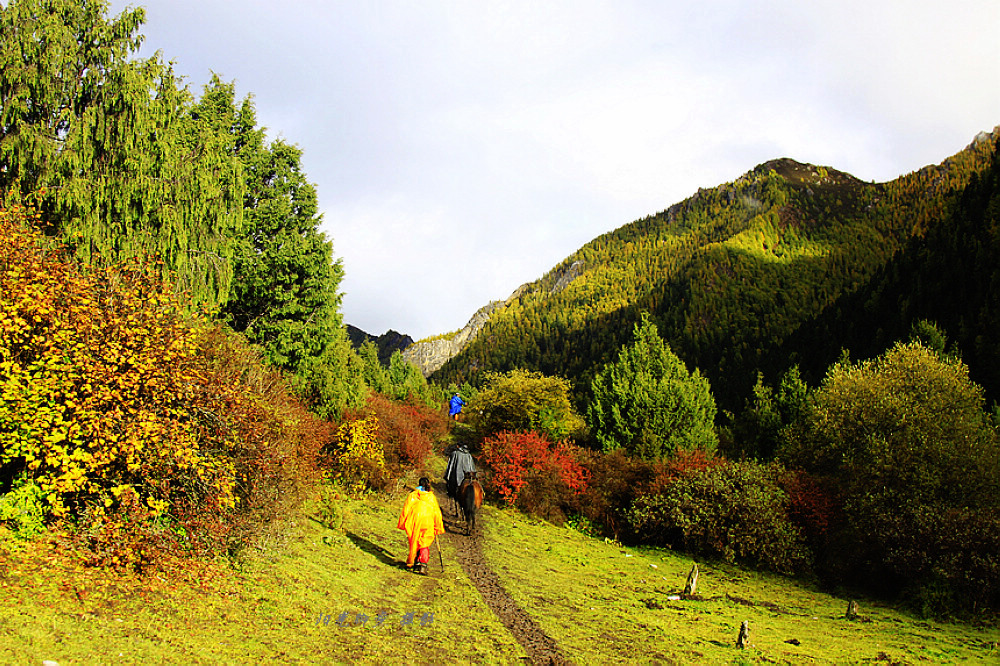 七藏沟,迷彩山林