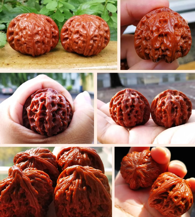 文玩核桃四大名核之一——公子帽,核友必看