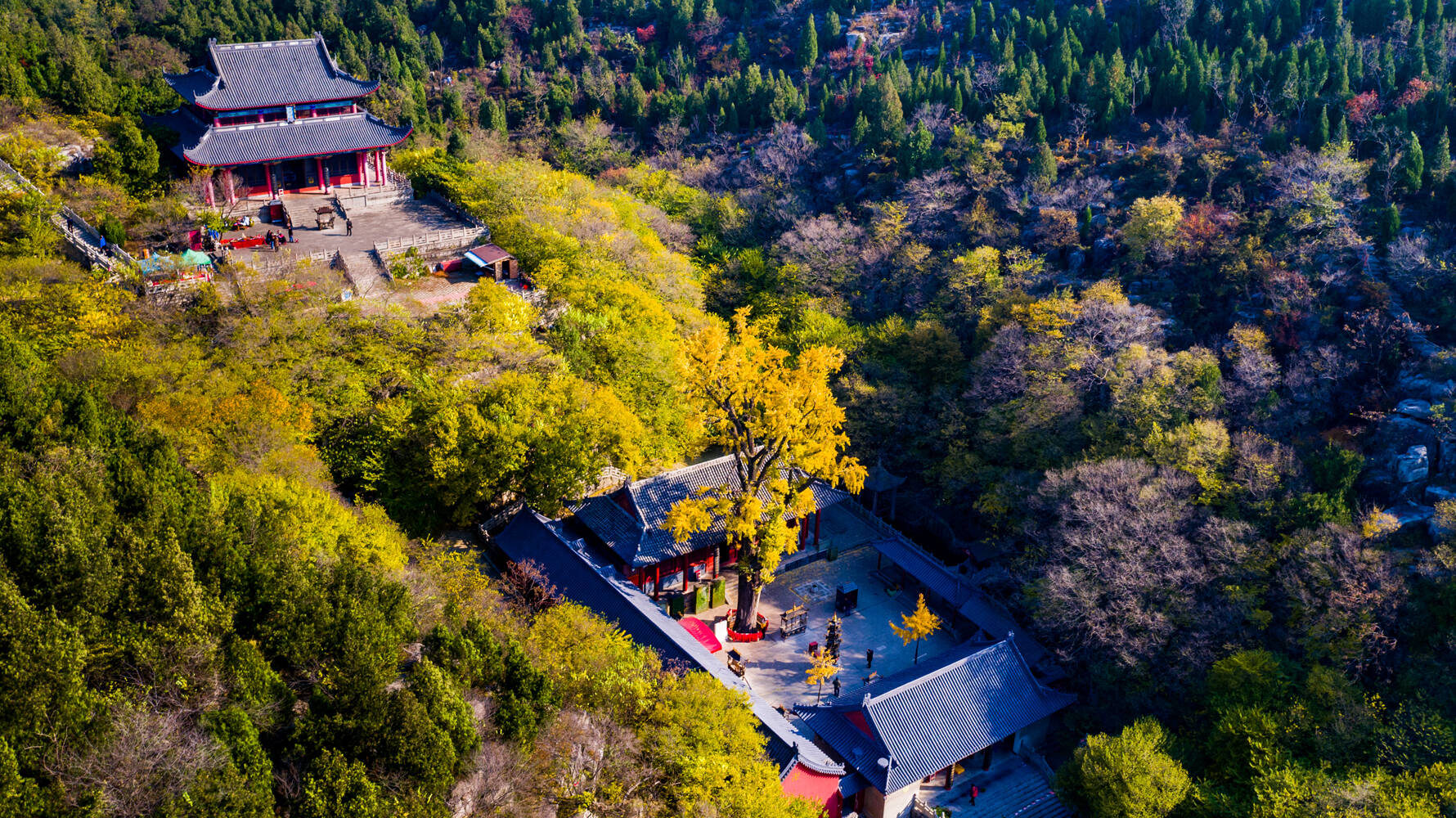 枣庄景区有哪些好景点图片