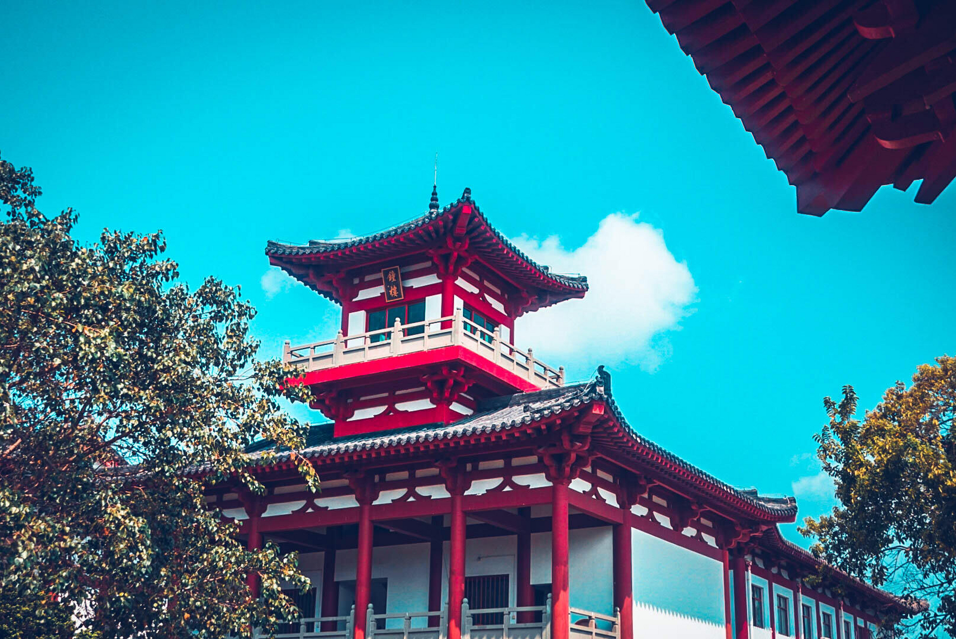 打卡北海冠头岭普度寺#城市大玩家# #旅行# #旅游