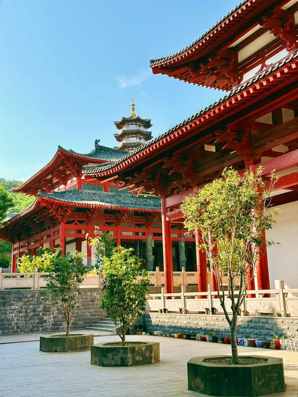 北海最大的寺庙,背山面海普度寺 北海最大寺庙——普度寺,位于冠头岭