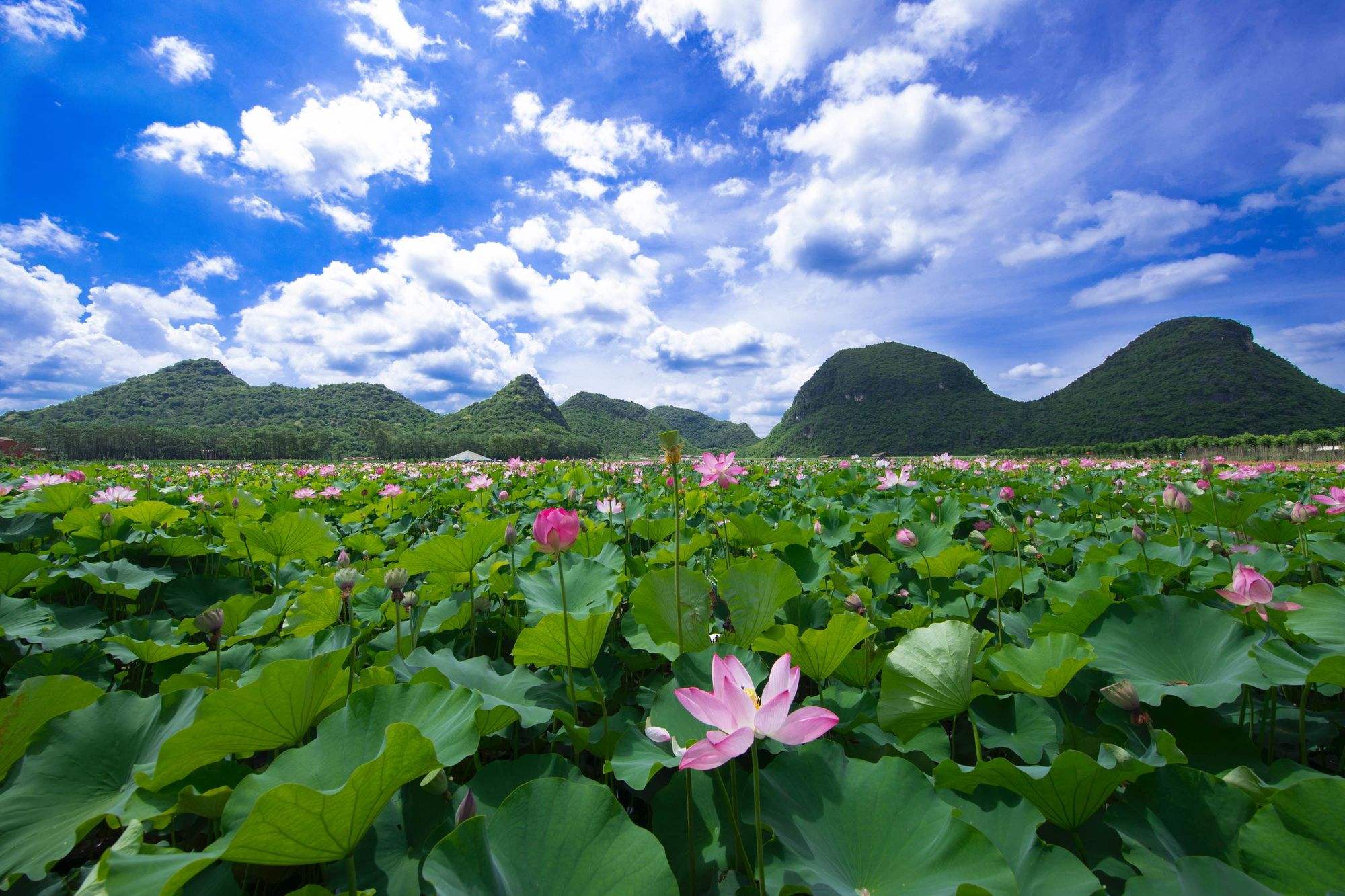 云南十大最美旅游胜地