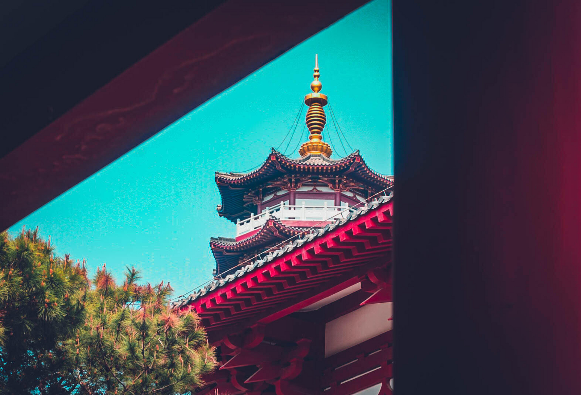 打卡北海冠头岭普度寺#城市大玩家# #旅行# #旅游