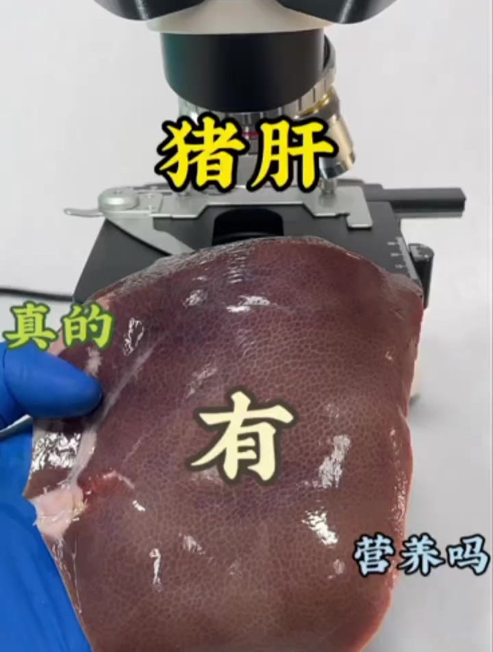 猪肝真的有营养吗