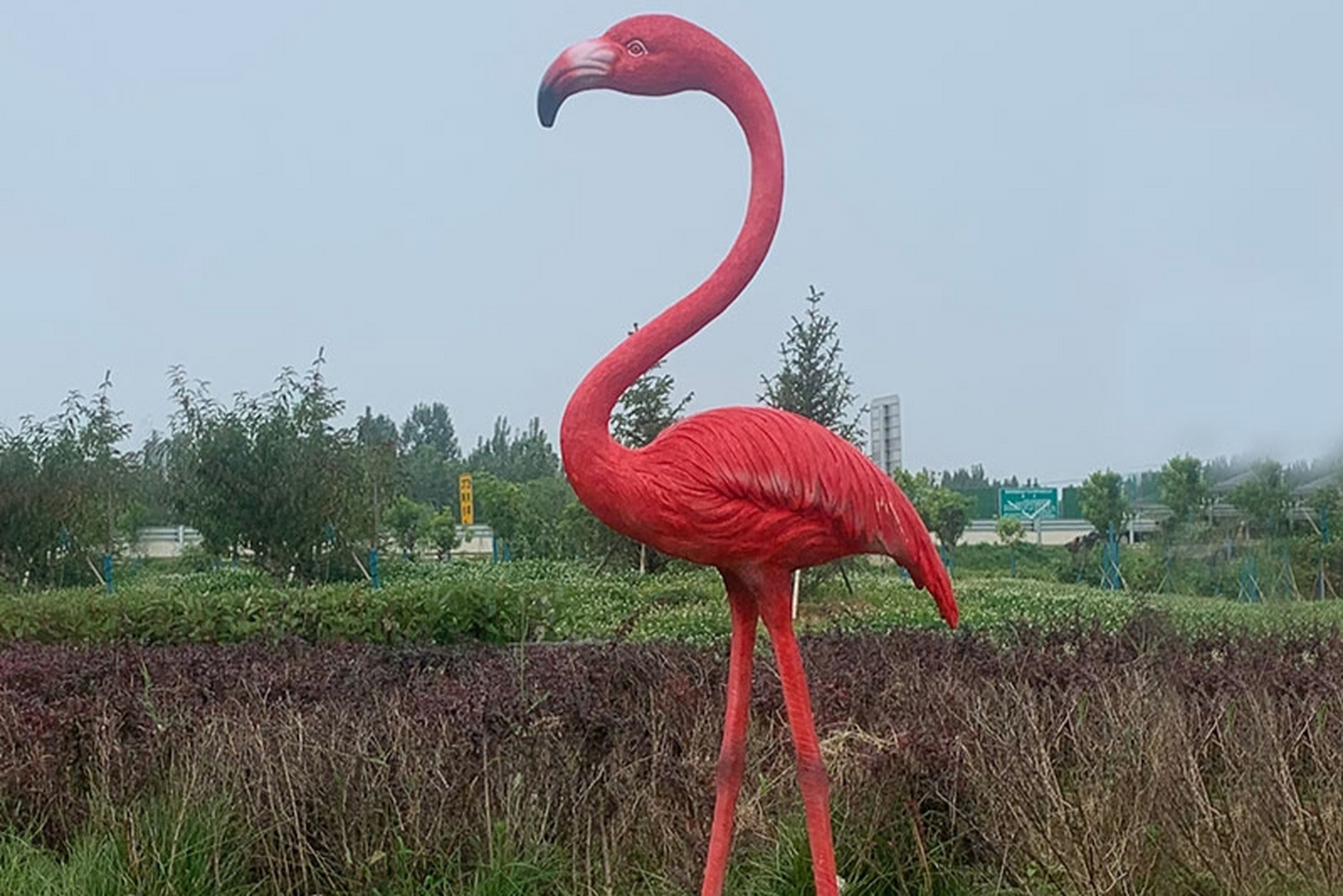 玻璃钢火烈鸟雕塑以独特艺术魅力和实用性成为草坪装饰摆件佼佼者.