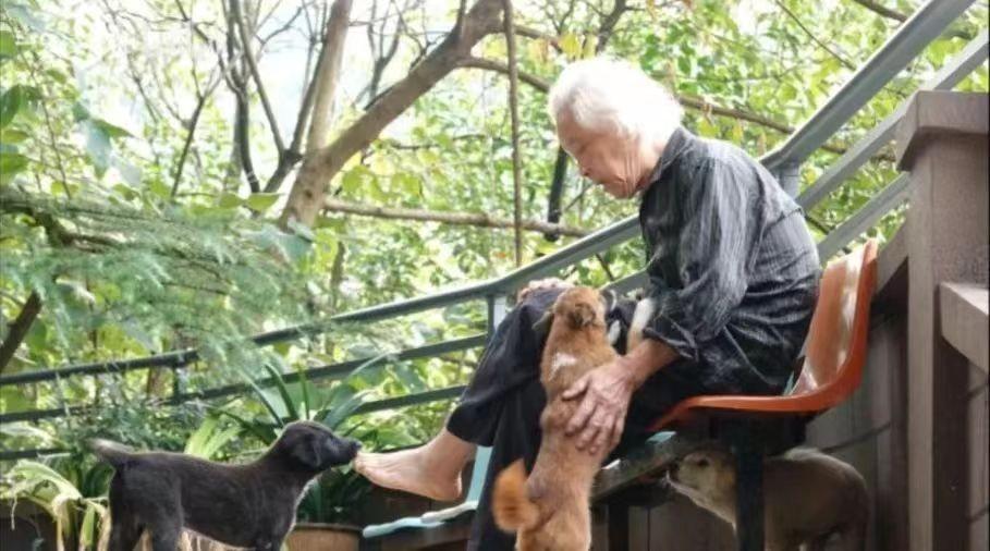 回顾83岁倔老头独自坚守动物园33年只因为女儿一句遗言