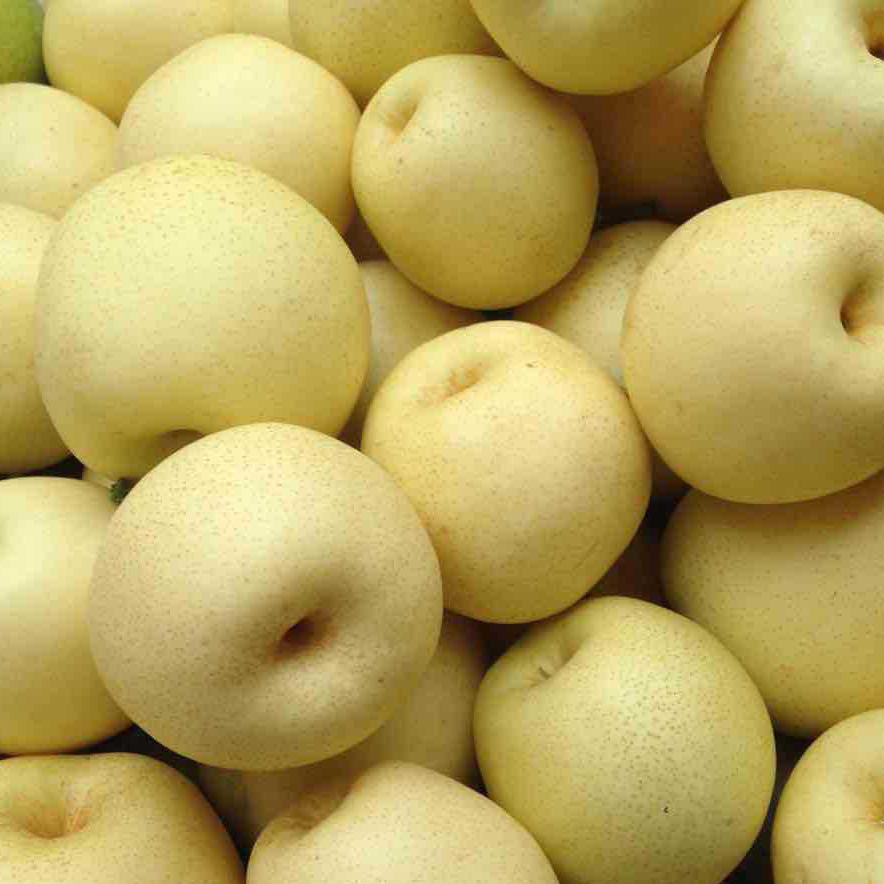 8种常见梨的区别及口感,一次讲清楚,味美汁多,你爱吃哪一种?