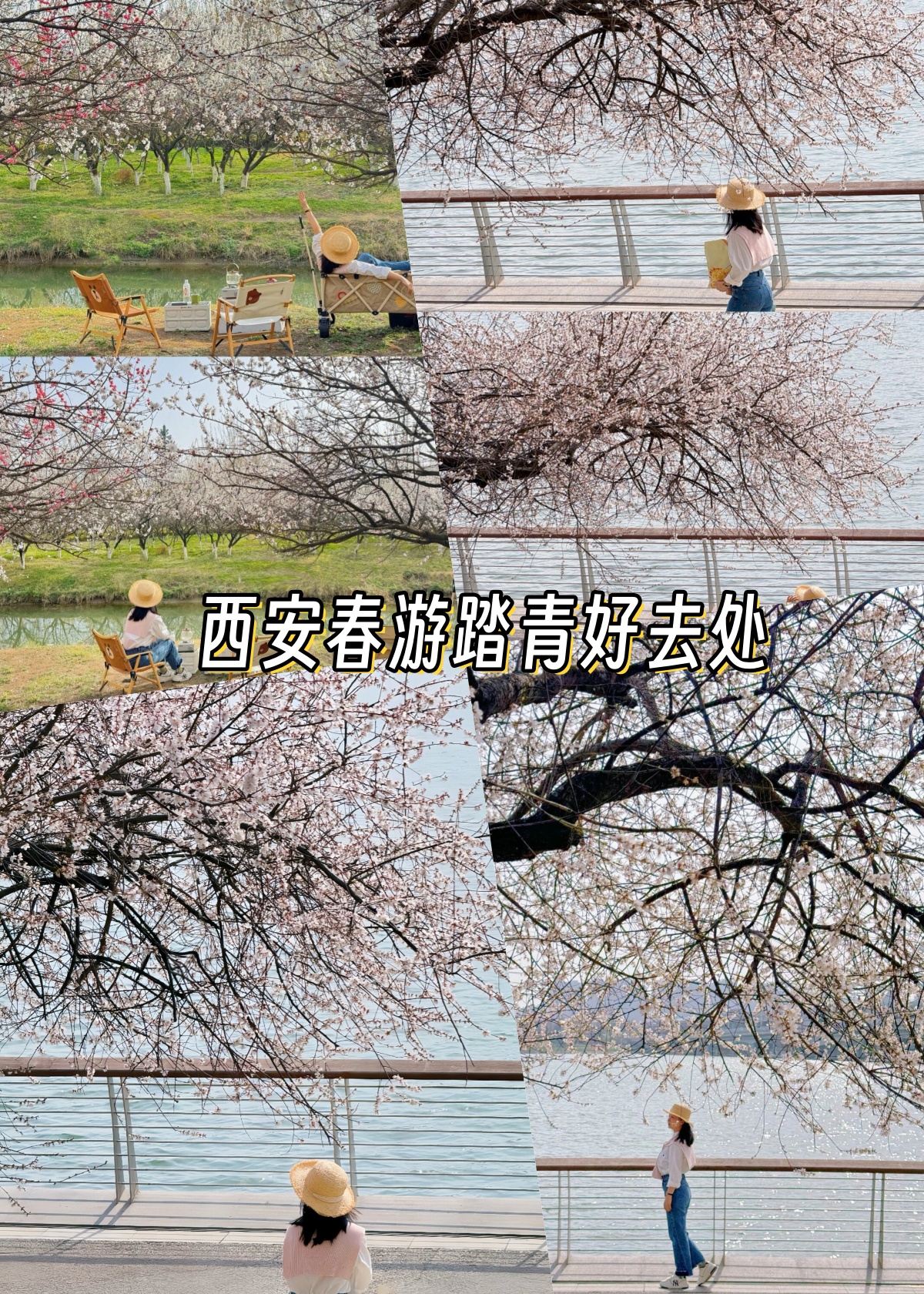 西安春游踏青好去处  刚到这里,我就被大片刚刚开放的杏花林所惊艳.