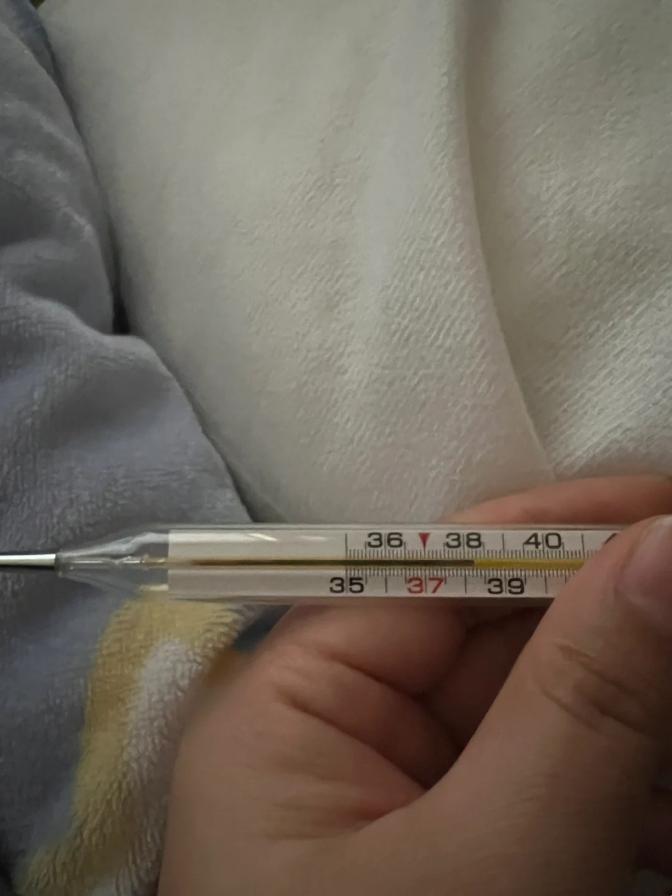 91 无论是发烧还是日常健康监测,体温计都是你的好帮手!